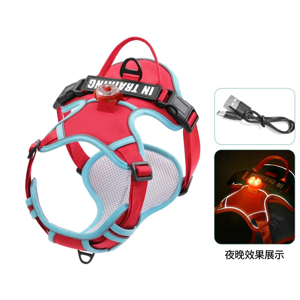 USB charged light - Personalized Harness