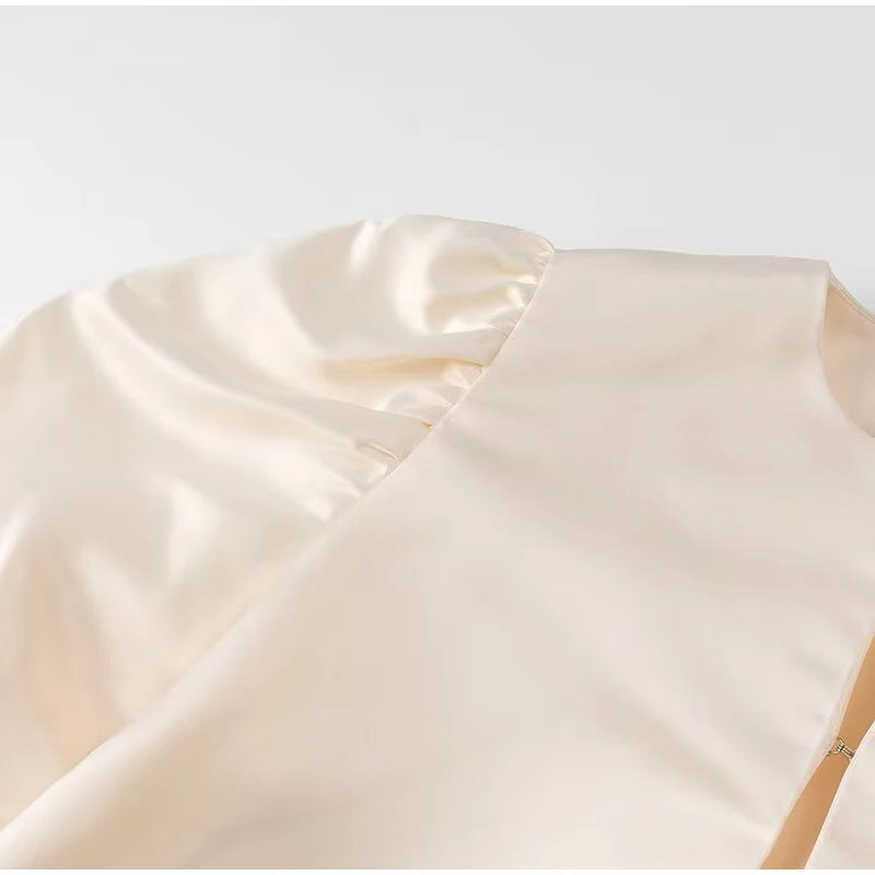 Elegant Stain Puff Sleeve Shirt