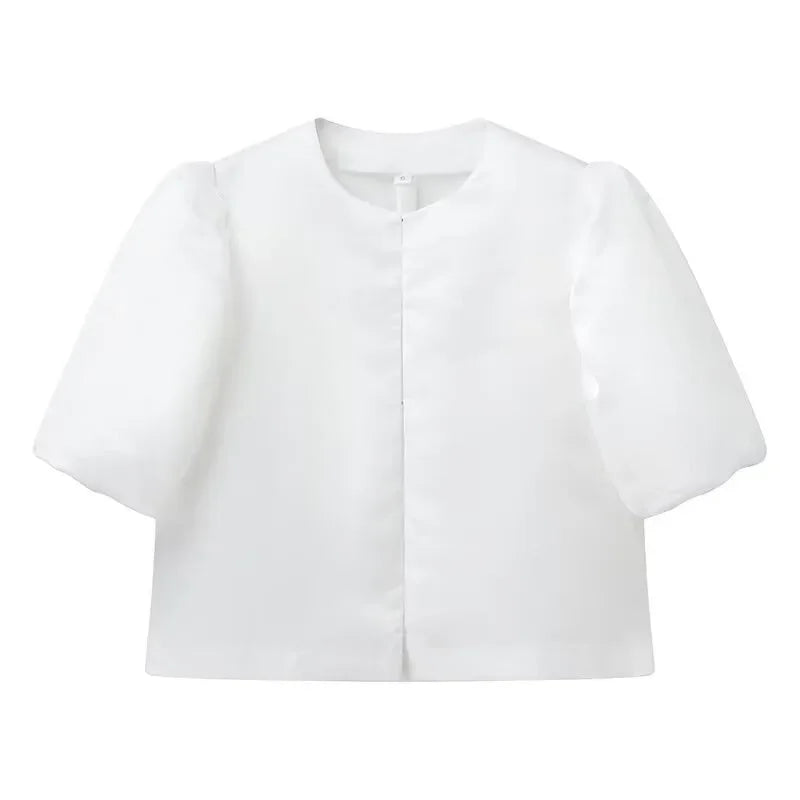 Elegant Stain Puff Sleeve Shirt