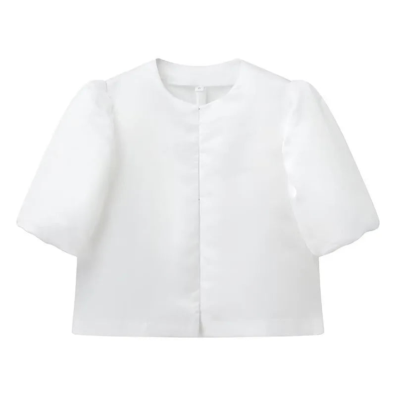 Elegant Stain Puff Sleeve Shirt