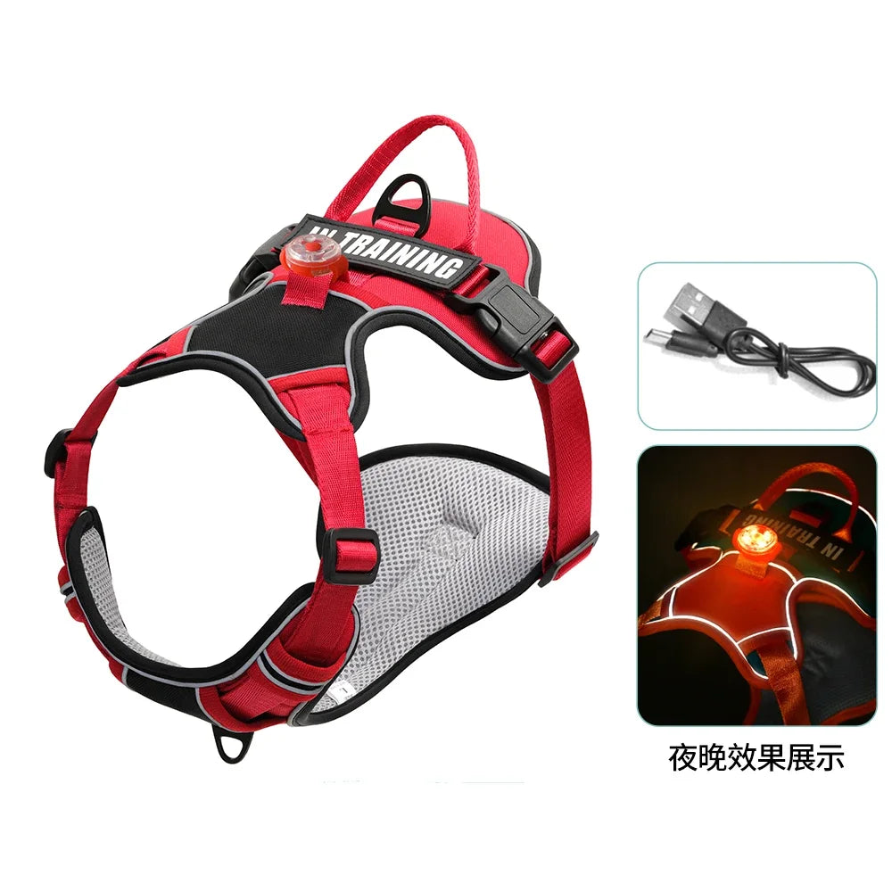 USB charged light - Personalized  Harness