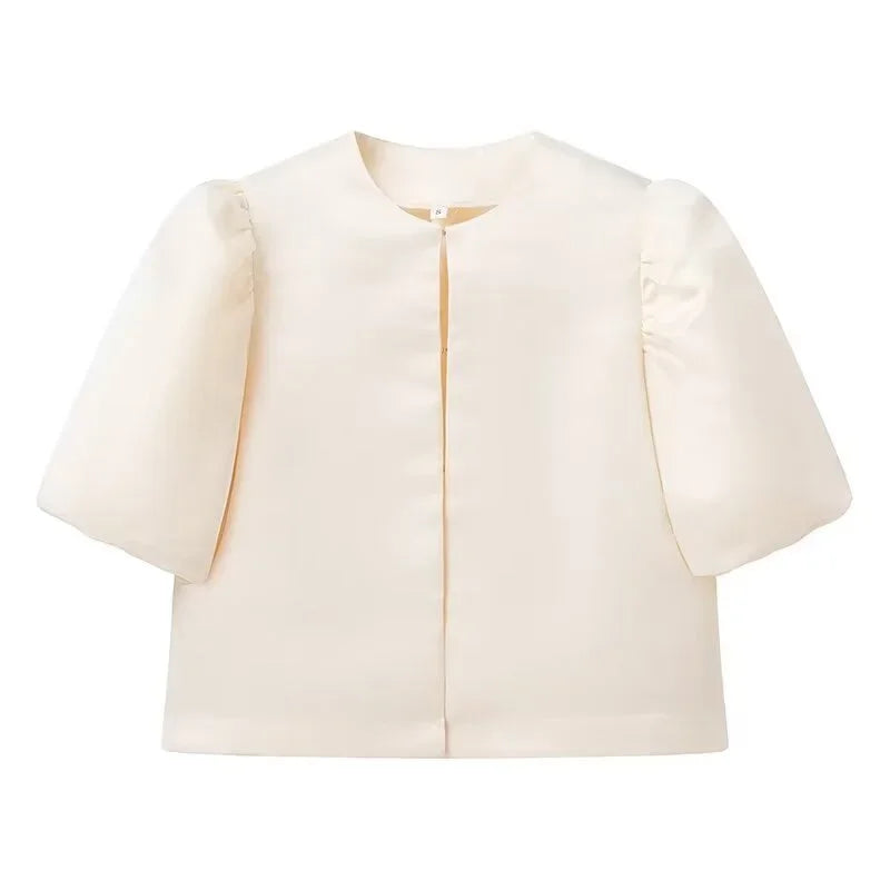 Elegant Stain Puff Sleeve Shirt