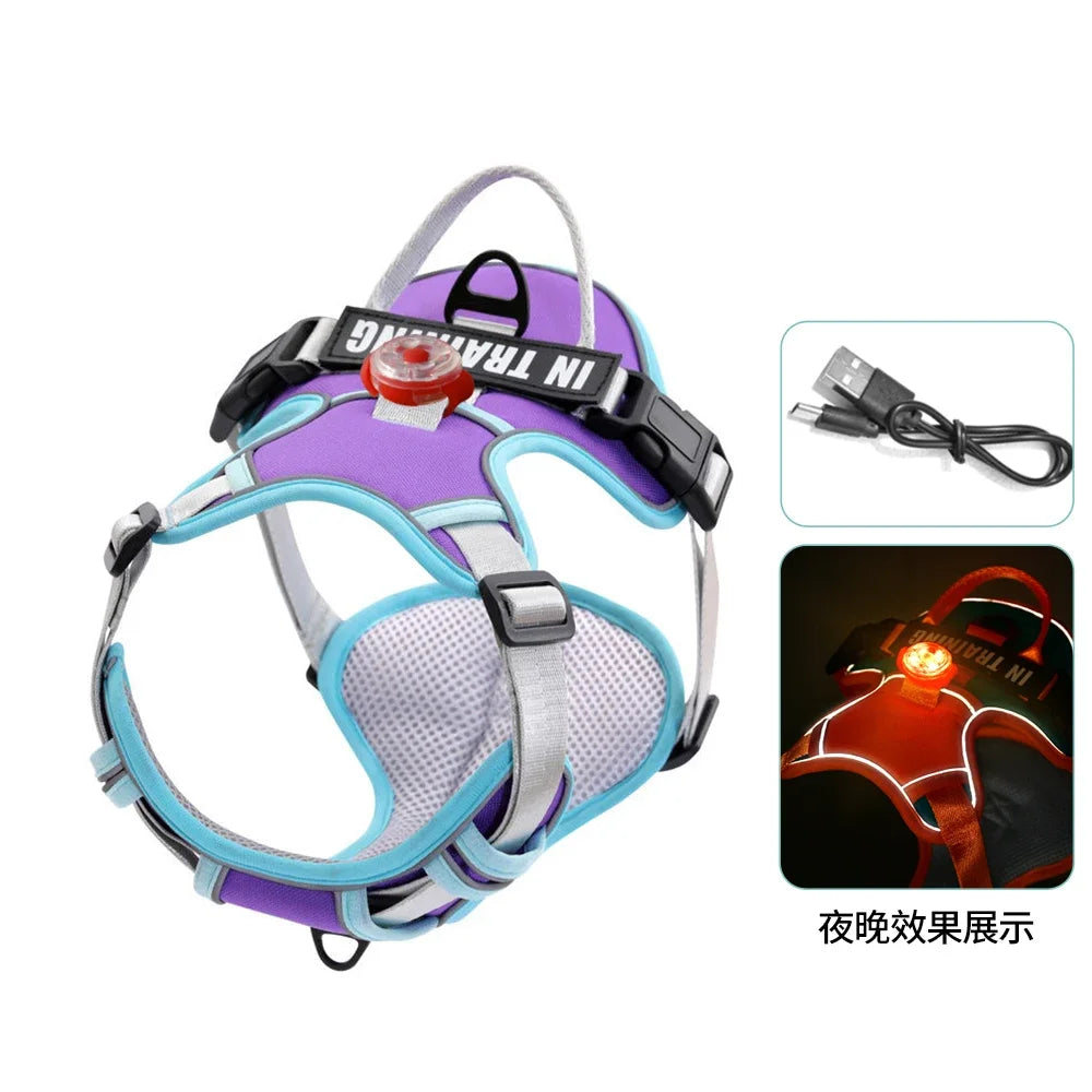 USB charged light - Personalized  Harness