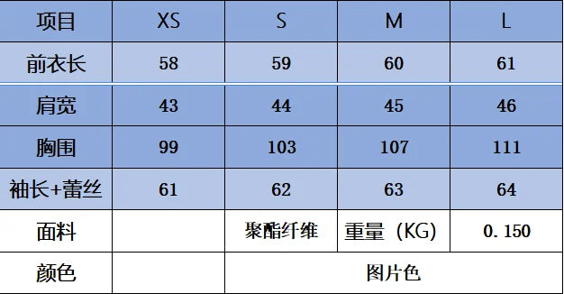 Lace Flared  Shirt Chic