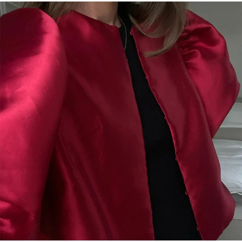 Elegant Stain Puff Sleeve Shirt