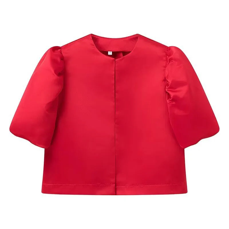 Elegant Stain Puff Sleeve Shirt