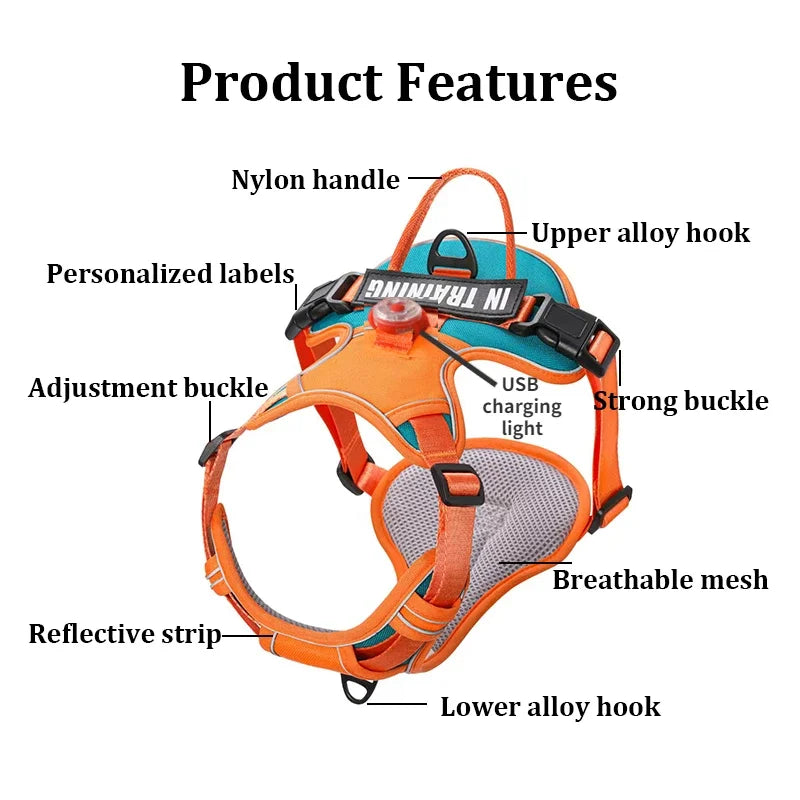 USB charged light - Personalized  Harness