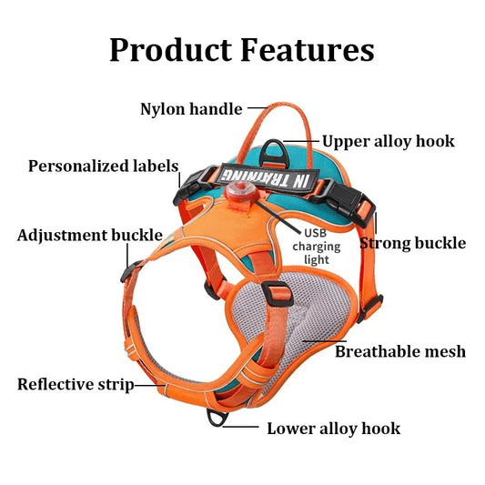 USB charged light - Personalized  Harness