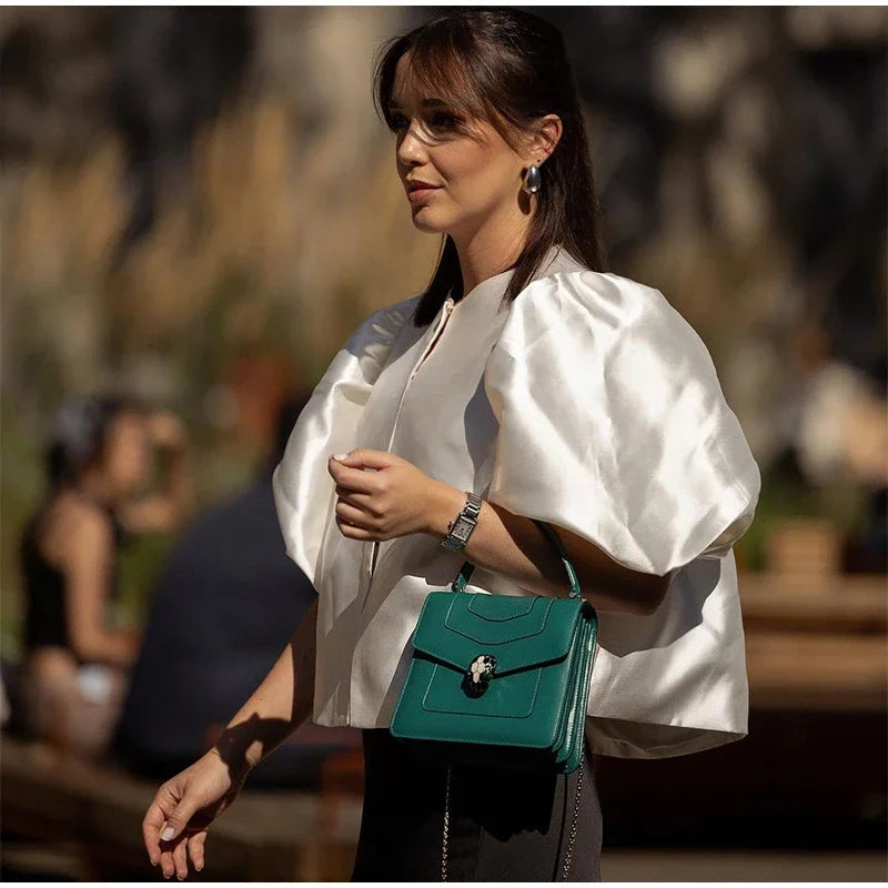 Elegant Stain Puff Sleeve Shirt