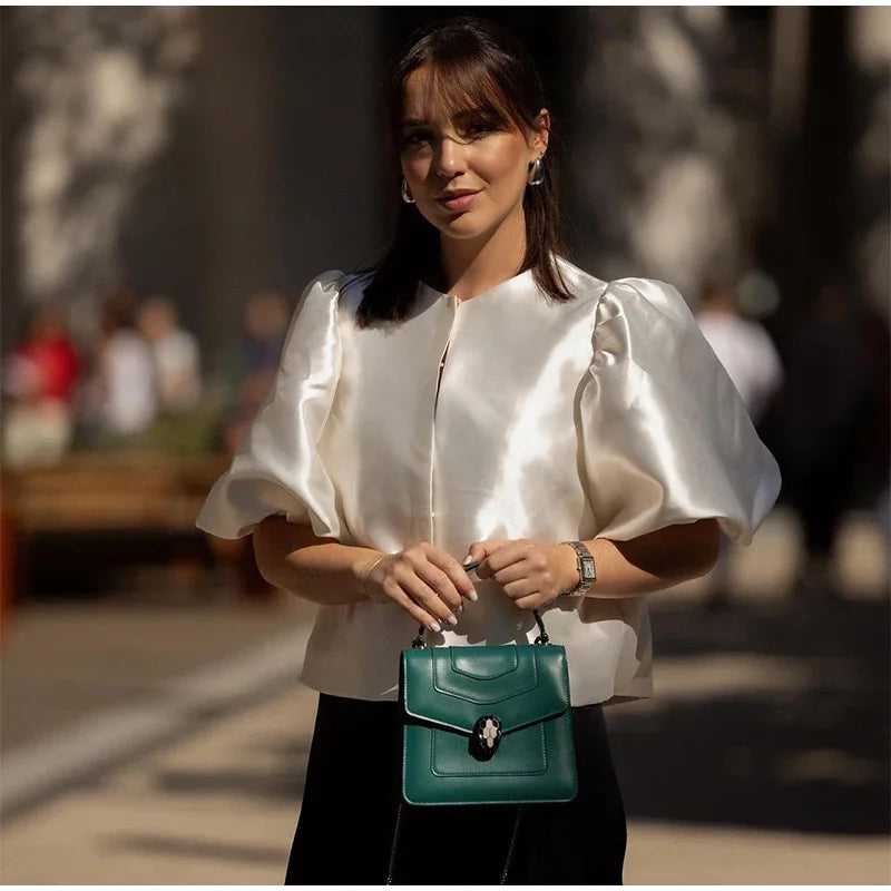 Elegant Stain Puff Sleeve Shirt