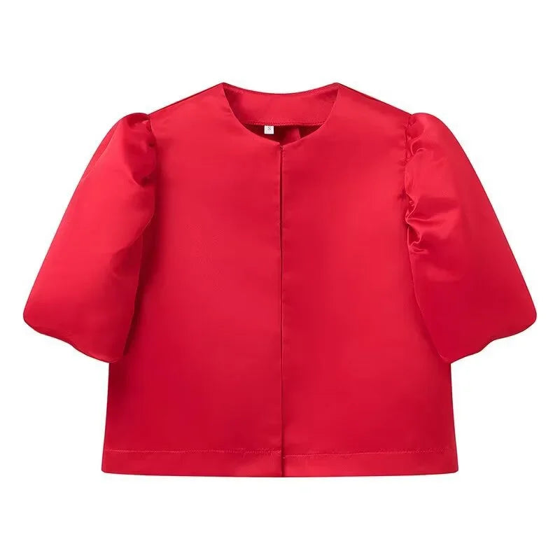 Elegant Stain Puff Sleeve Shirt